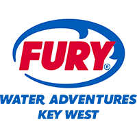 Fury