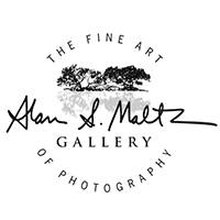 The Fine Art Gallery of Photography