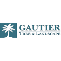 Gautier