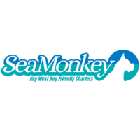 Sea Monkey