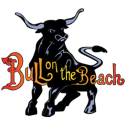 Bull on the Beach