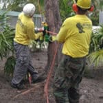 Dot Palm Landscaping 2024 Marathon Sponsor