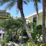 Dot Palm Landscaping 2024 Marathon Sponsor