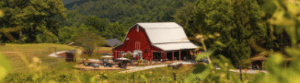 Tiger Mountain Vineyards